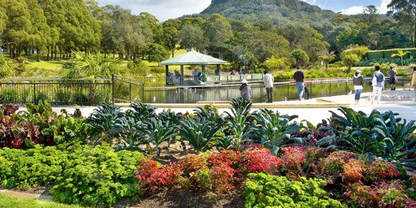 Wollongong Botanic Gardens